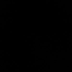 Meet your Posher, Preston